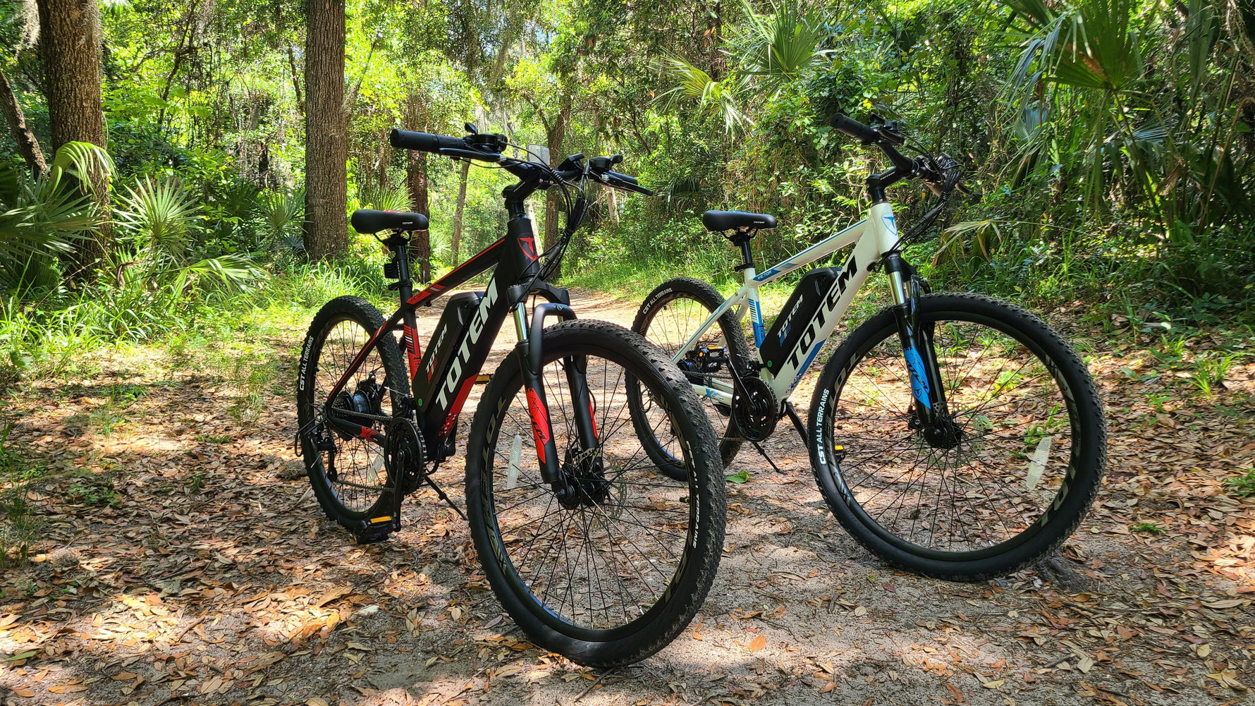 The Best Way to Buy an Electric Bike: Online vs. In-Store (2025 Guide)