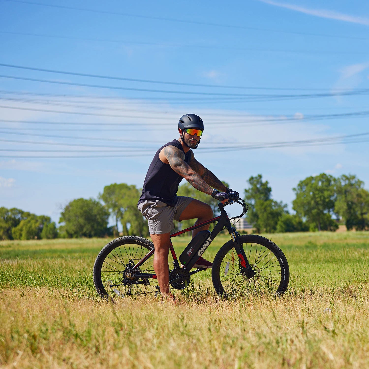 Electric Bikes
